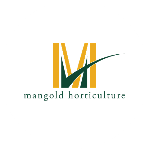 Justin Mangold